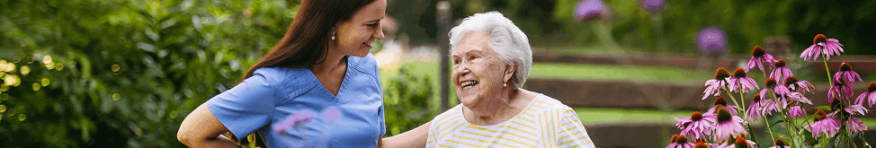 Franchising Specialists